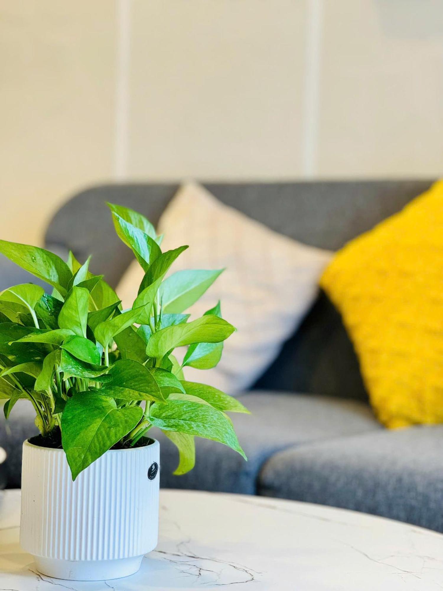 Soho Apt - Luxury Stay, Next To Benthanh Market Ho Si Minh-város Kültér fotó